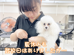 新学期になりました♪